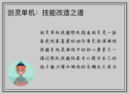 剑灵单机：技能改造之道